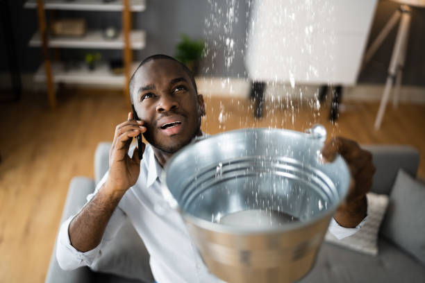Best Residential water damage restoration  in Hawthorn Woods, IL