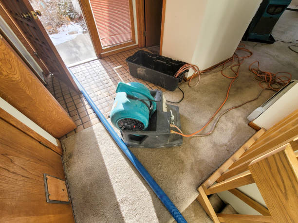Best 24-hour water damage restoration  in Hawthorn Woods, IL