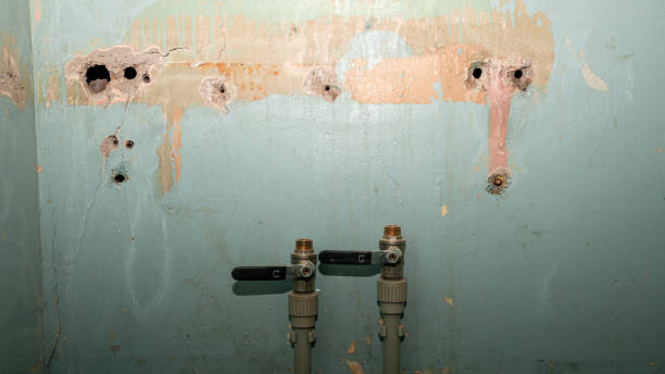 Best Water damage repair service  in Hawthorn Woods, IL