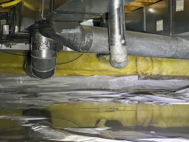 Best Basement water damage restoration  in Hawthorn Woods, IL
