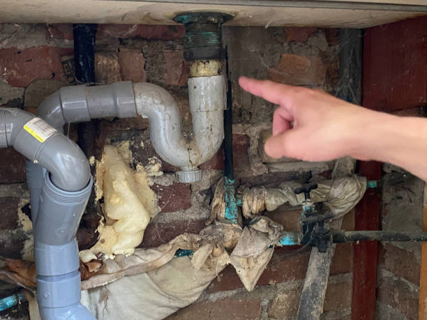Best Water damage contractors near me  in Hawthorn Woods, IL