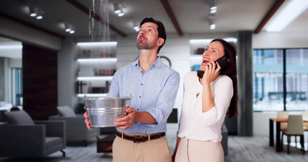 Best Residential water damage restoration  in Hawthorn Woods, IL